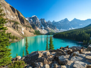 One Day online meditation retreat led by SRF members